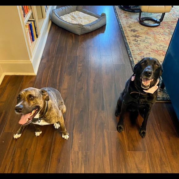 Meet your Posher, Joelle - Picture 4 of 5